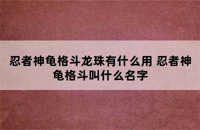 忍者神龟格斗龙珠有什么用 忍者神龟格斗叫什么名字